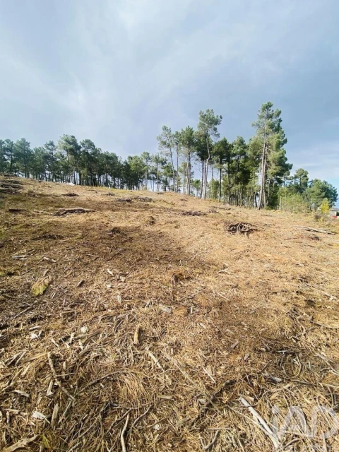 Terreno para Venda em Mouçós e Lamares