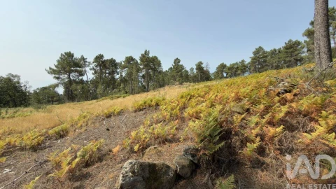 Terreno para Venda em Mouçós e Lamares