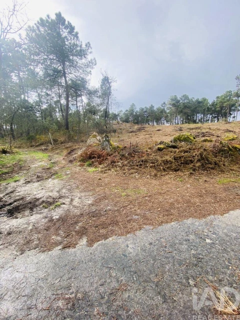 Terreno para Venda em Mouçós e Lamares