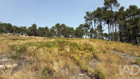 Terreno para Venda em Mouçós e Lamares