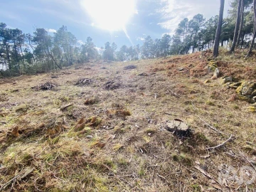 Terreno para Venda em Mouçós e Lamares