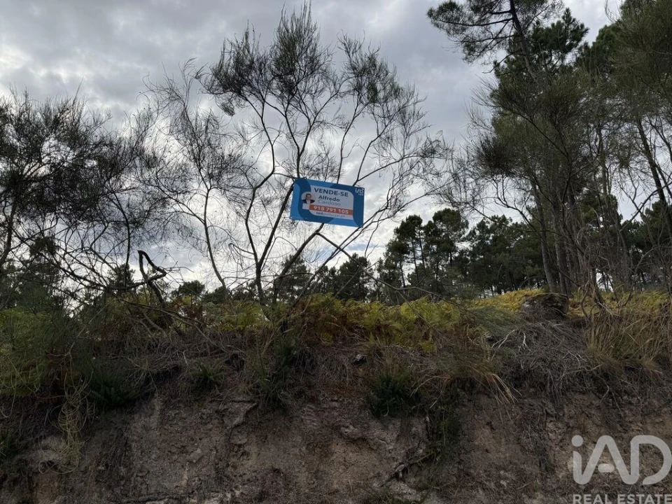 Terreno para Venda em Mouçós e Lamares Foto 25
