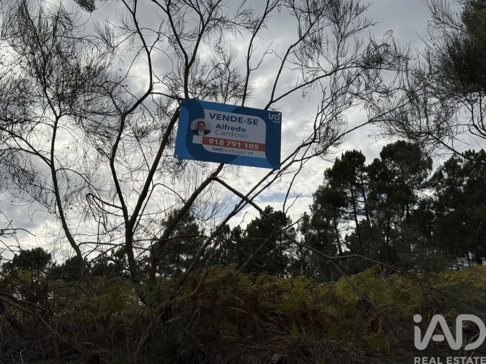 Terreno para Venda em Mouçós e Lamares Foto 26