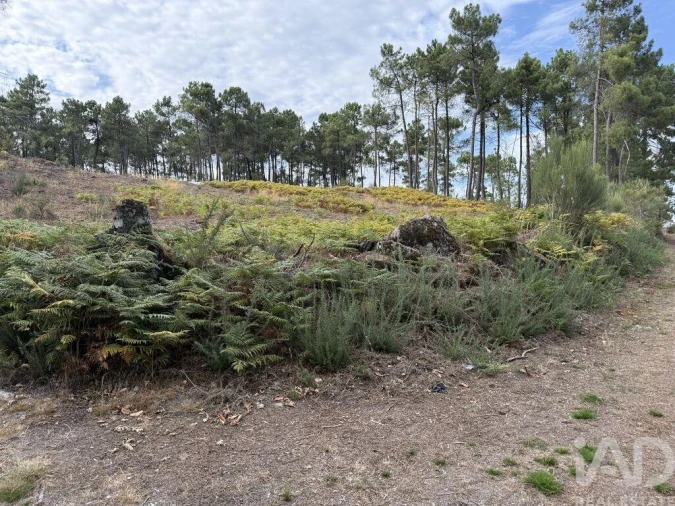 Terreno para Venda em Mouçós e Lamares Foto 23