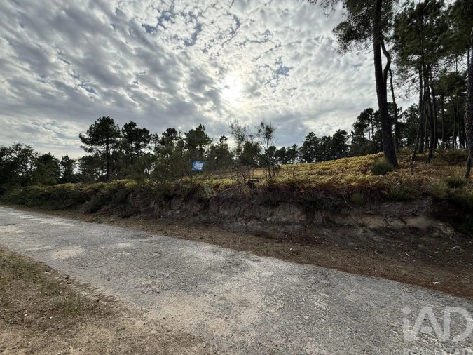 Terreno para Venda em Mouçós e Lamares Foto 6