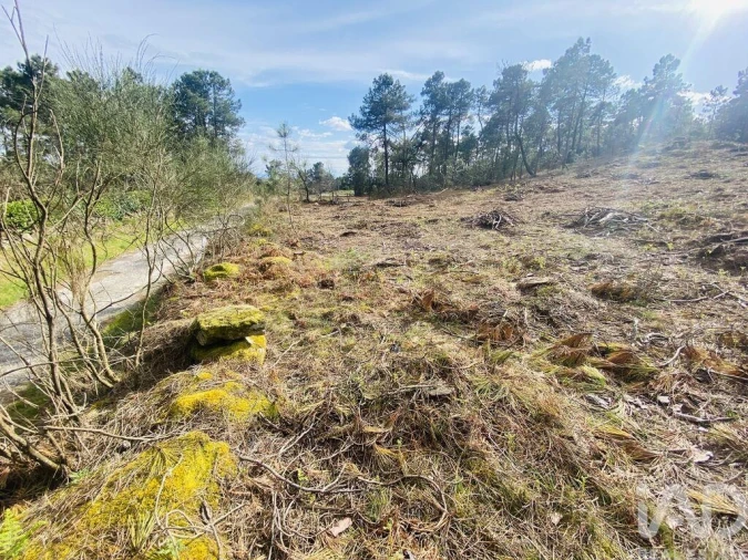 Terreno para Venda em Mouçós e Lamares Foto 3