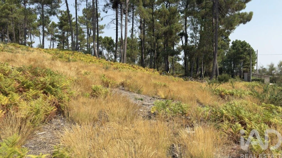Terreno para Venda em Mouçós e Lamares Foto 26