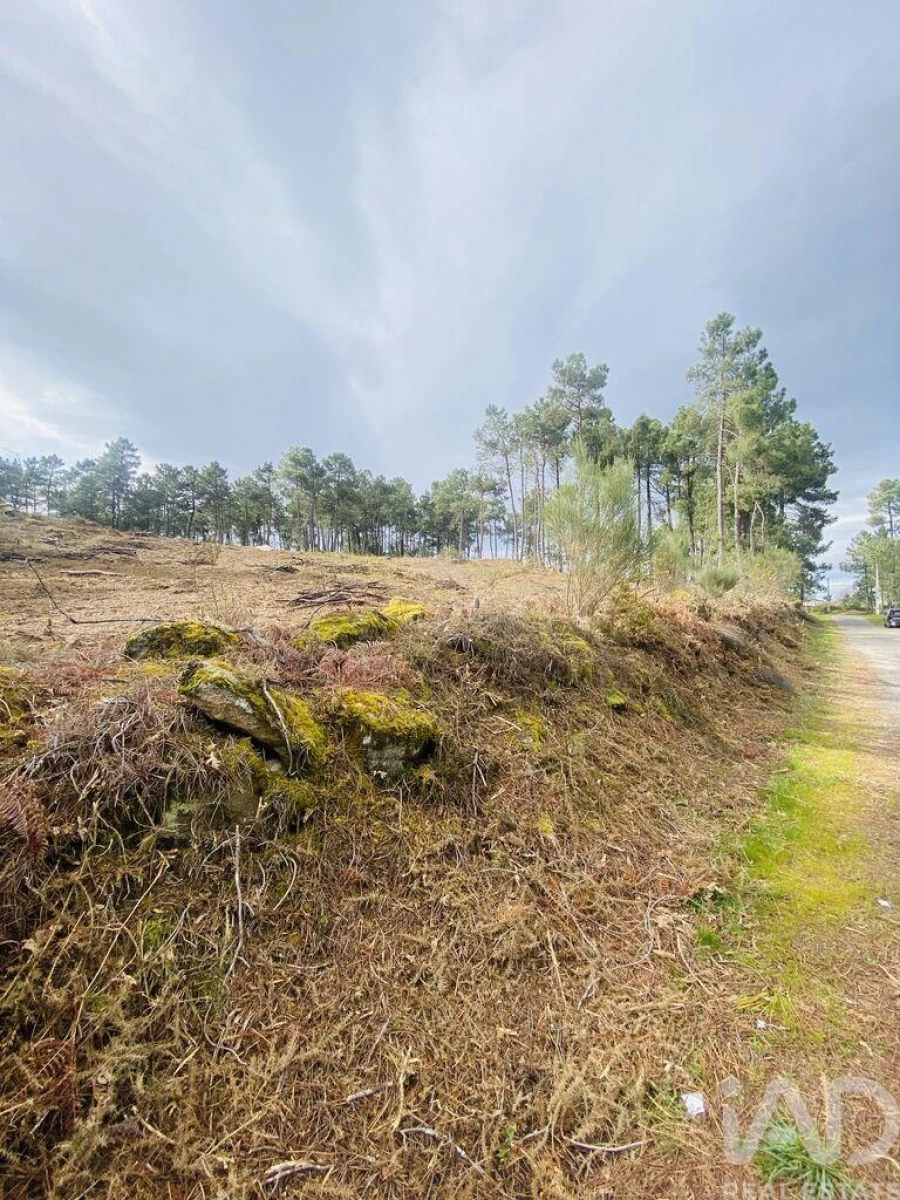 Terreno para Venda em Mouçós e Lamares Foto 8