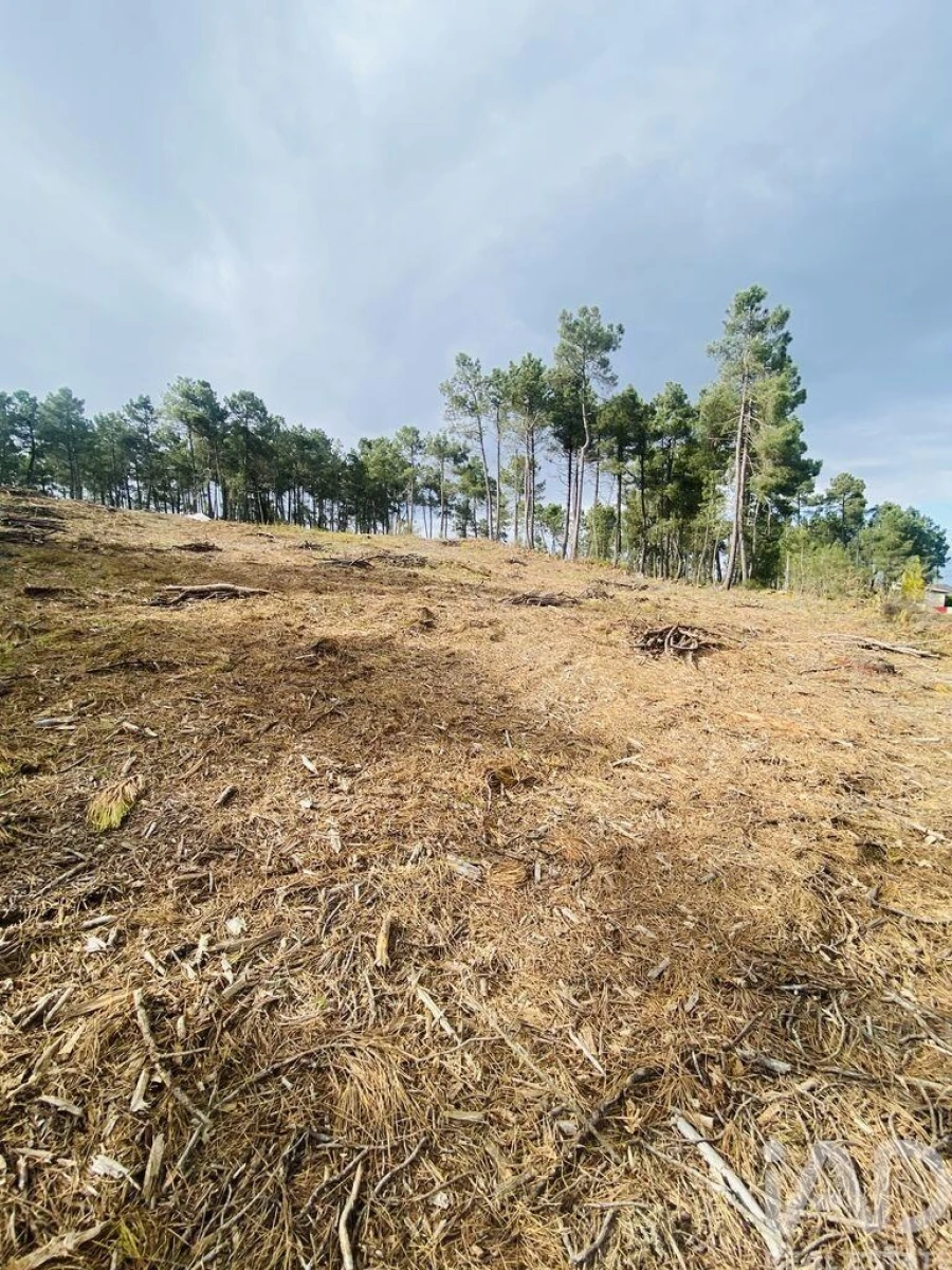 Terreno para Venda em Mouçós e Lamares Foto 7