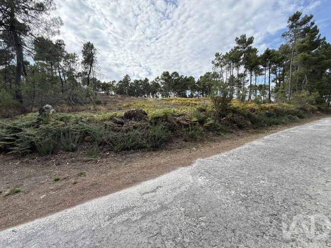 Terreno para Venda em Mouçós e Lamares Foto 19