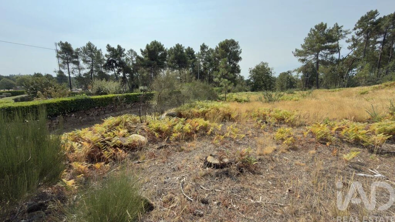 Terreno para Venda em Mouçós e Lamares Foto 23