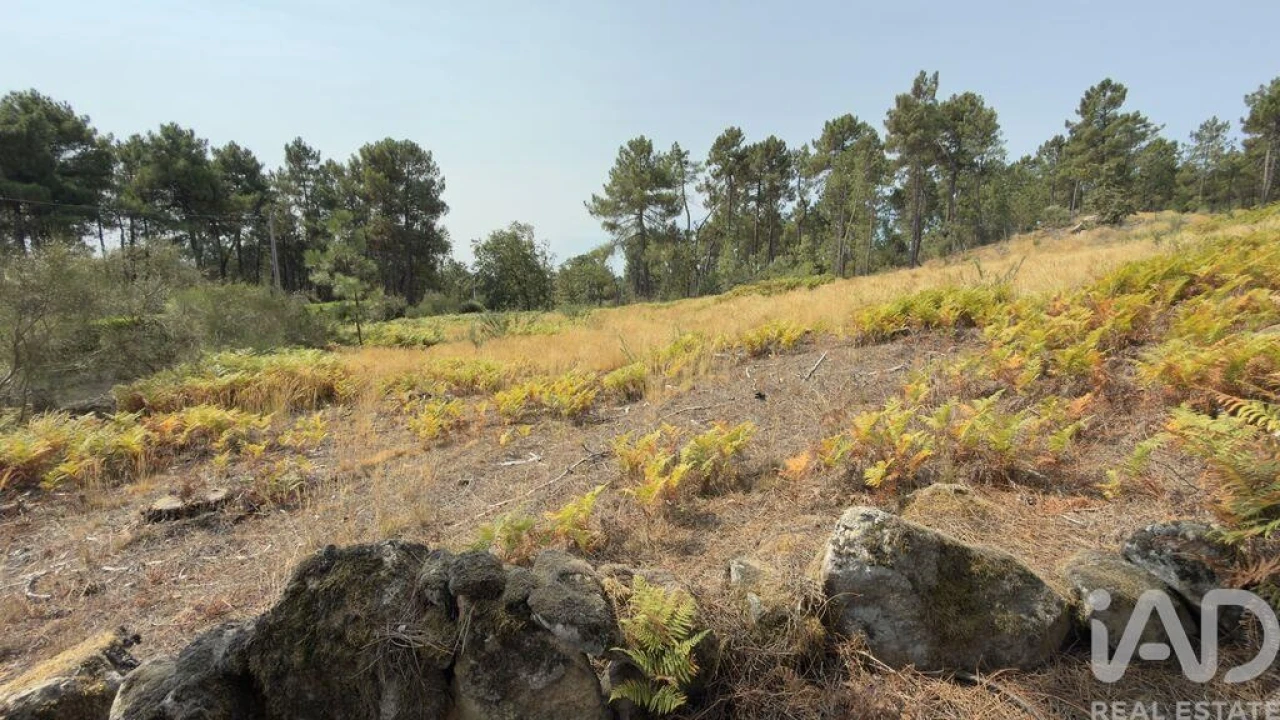 Terreno para Venda em Mouçós e Lamares Foto 5