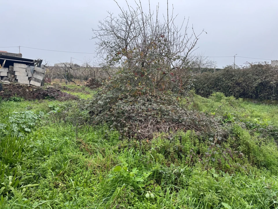 Moradia T3 para Venda em Constantim e Vale de Nogueiras Foto 12