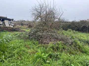 Moradia T3 para Venda em Constantim e Vale de Nogueiras