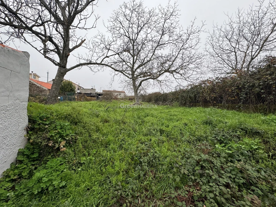 Moradia T3 para Venda em Constantim e Vale de Nogueiras Foto 16