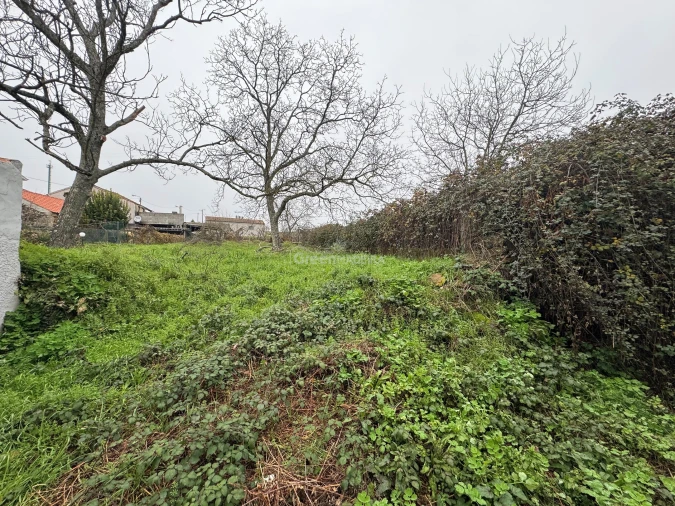 Moradia T3 para Venda em Constantim e Vale de Nogueiras Foto 15