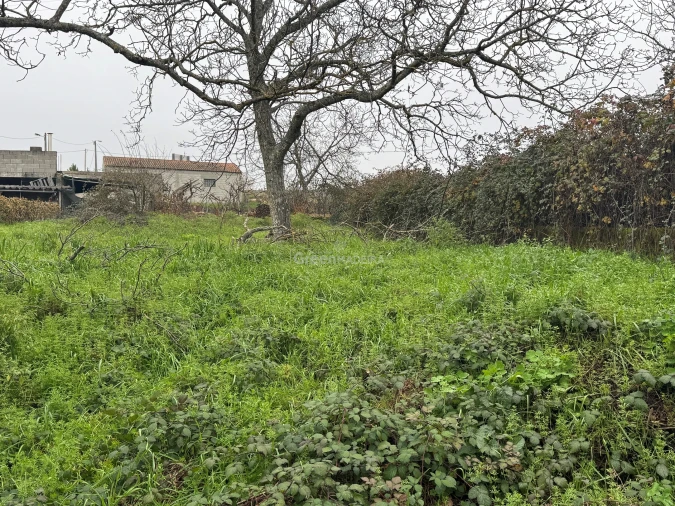 Moradia T3 para Venda em Constantim e Vale de Nogueiras Foto 14