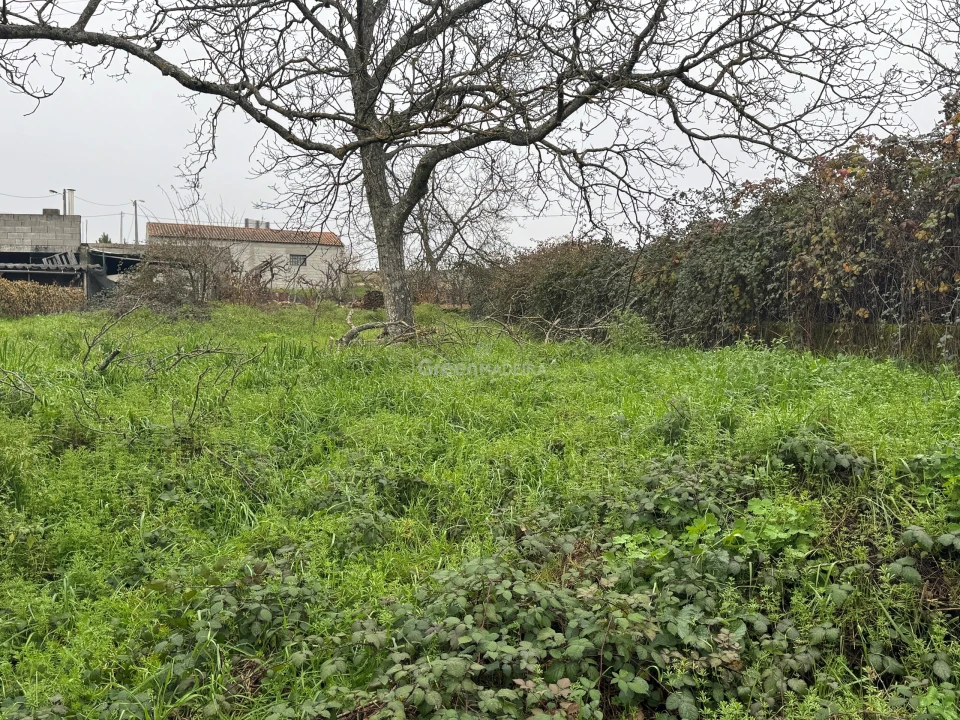 Moradia T3 para Venda em Constantim e Vale de Nogueiras Foto 14