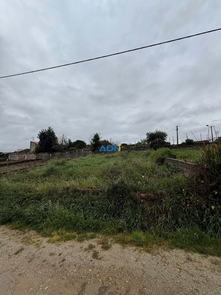 Terreno para Venda em Castelo Branco Foto 4