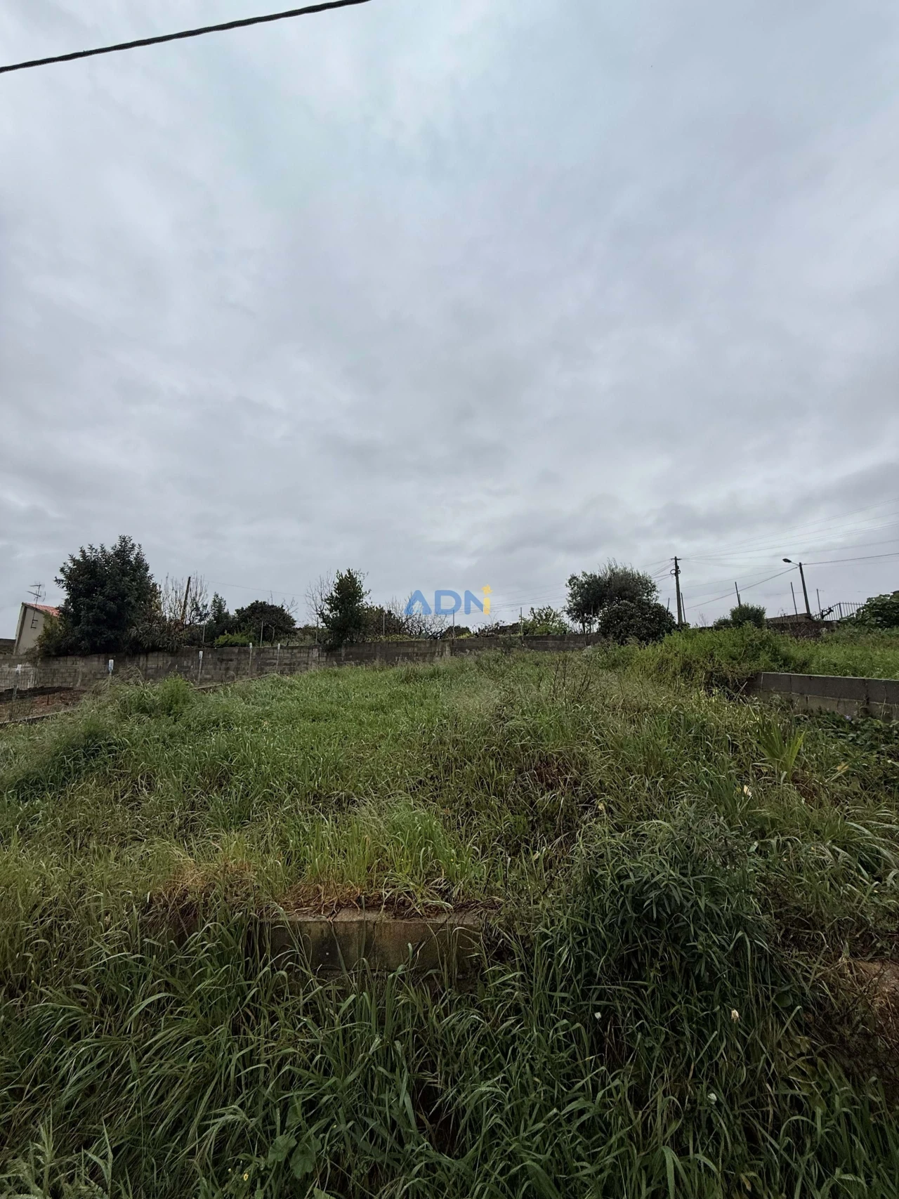 Terreno para Venda em Castelo Branco Foto 3