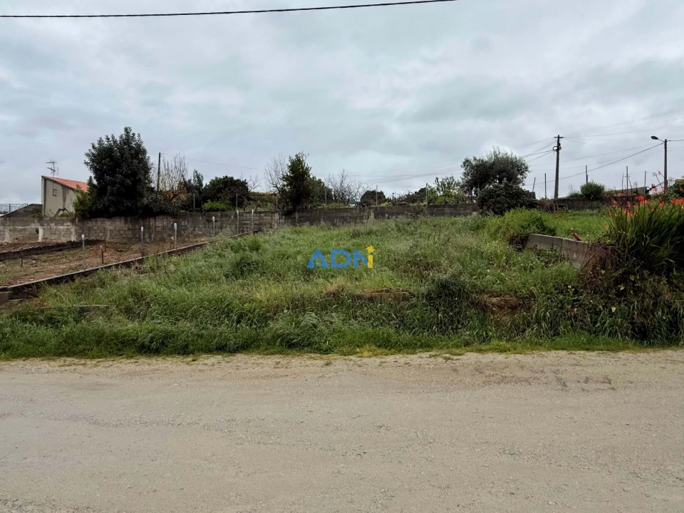 Terreno para Venda em Castelo Branco Foto 1