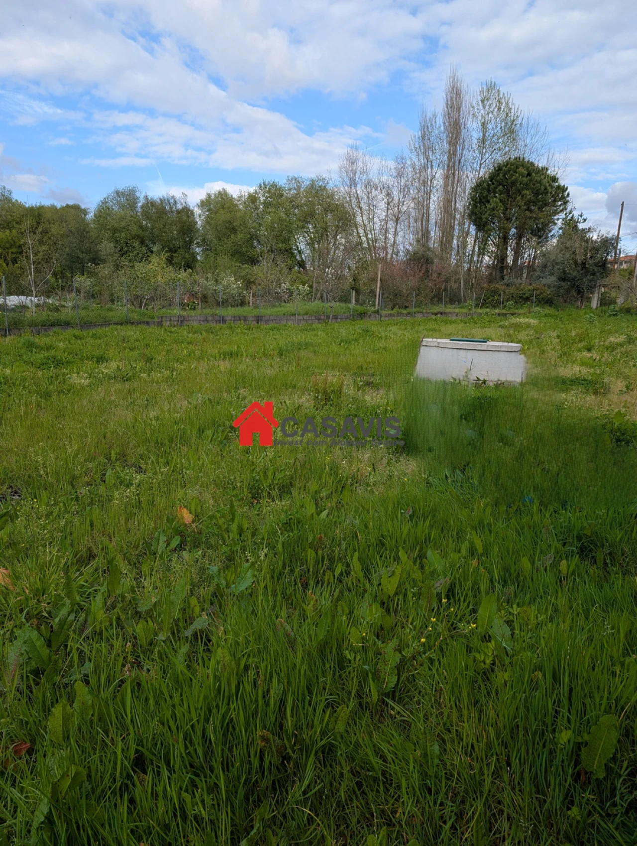 Quinta para Venda em Faíl e Vila Chã de Sá Foto 2
