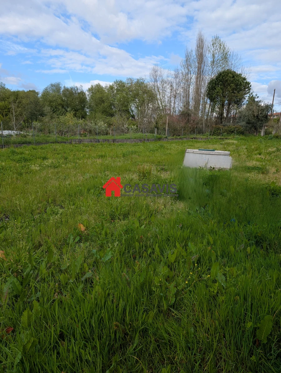 Quinta para Venda em Faíl e Vila Chã de Sá Foto 2
