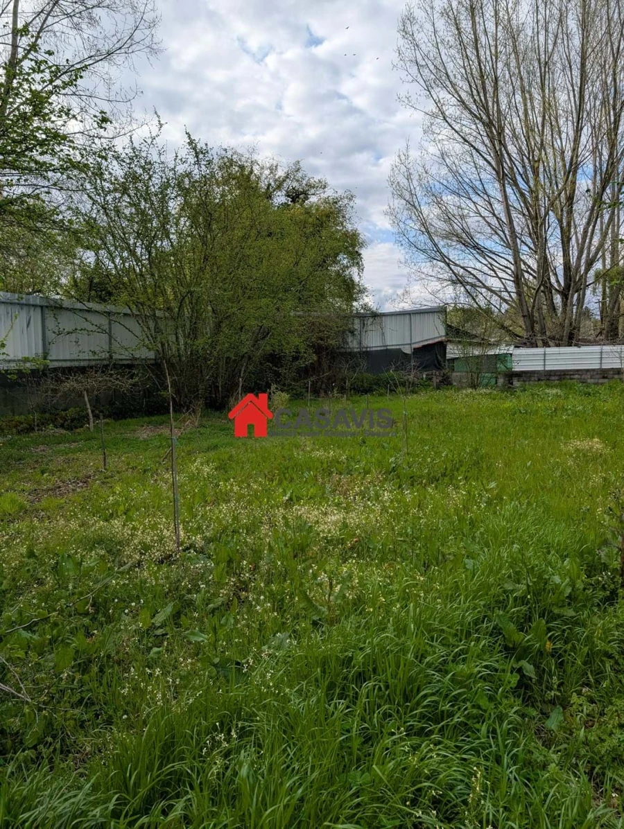 Quinta para Venda em Faíl e Vila Chã de Sá Foto 4