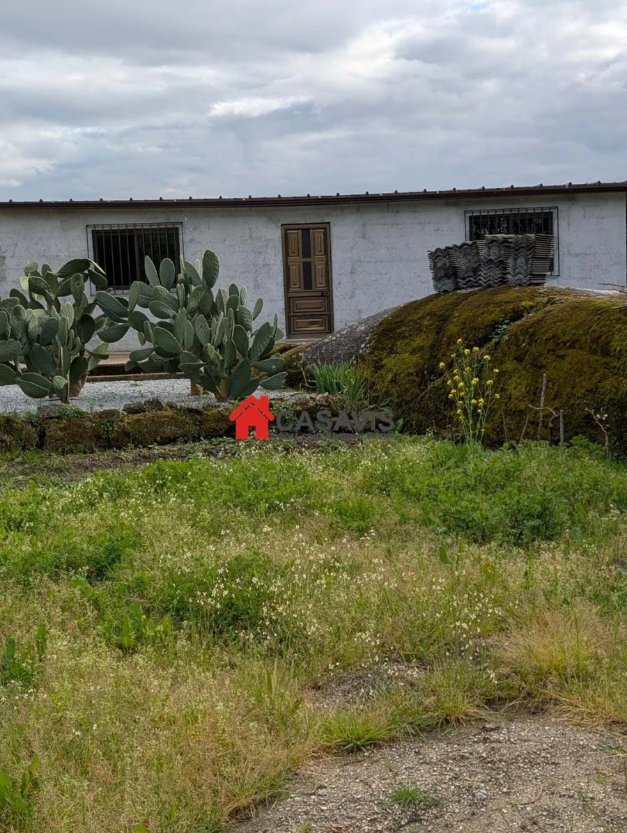 Quinta para Venda em Faíl e Vila Chã de Sá