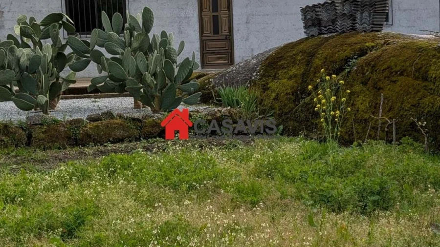 Quinta para Venda em Faíl e Vila Chã de Sá