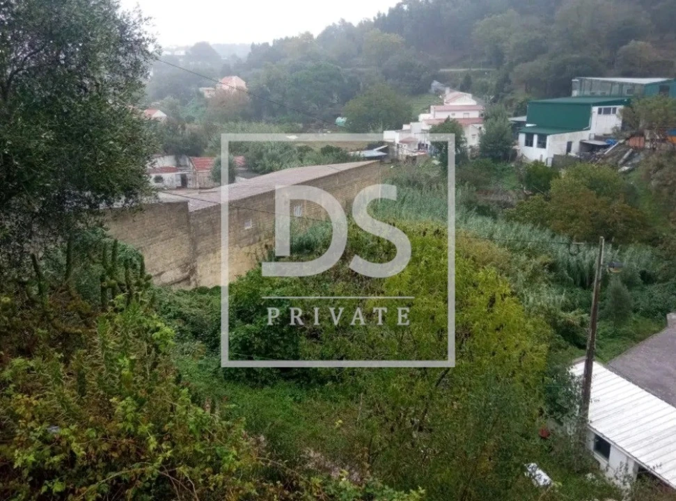 Terreno Agricola ou Rústico para Venda em Lousa Foto 4