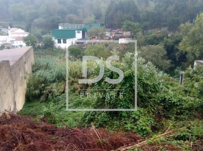 Terreno Agricola ou Rústico para Venda em Lousa Foto 3