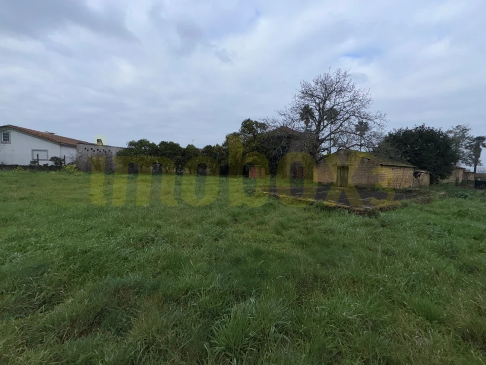 Moradia para Venda em Barrô e Aguada de Baixo Foto 4