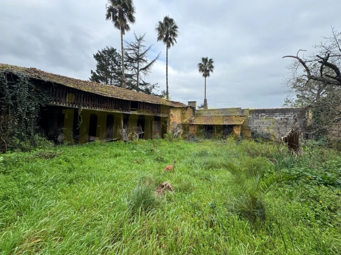 Moradia para Venda em Barrô e Aguada de Baixo Foto 2