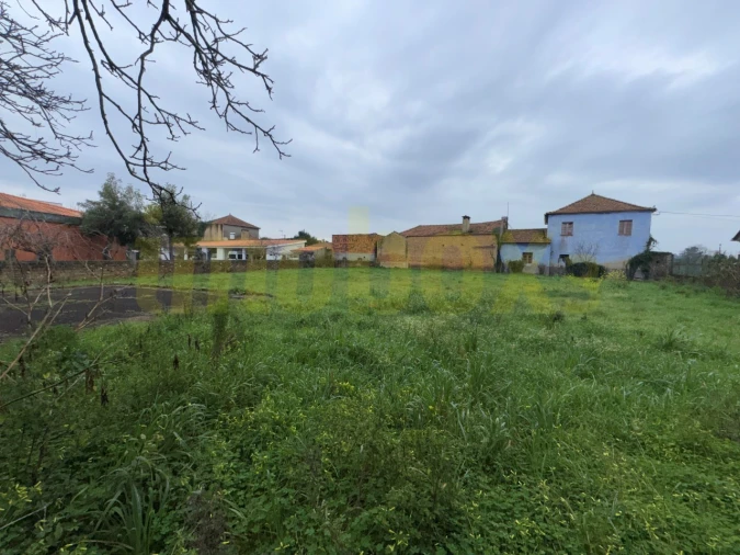 Moradia para Venda em Barrô e Aguada de Baixo Foto 3