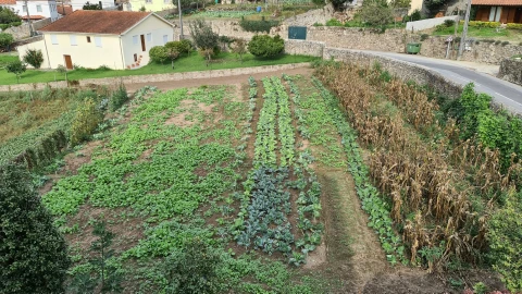 Terreno Misto para Venda em Rio Mau e Arcos