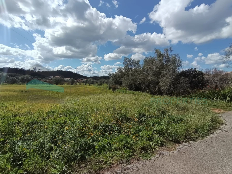 Terreno Agricola ou Rústico para Venda em Alte Foto 2