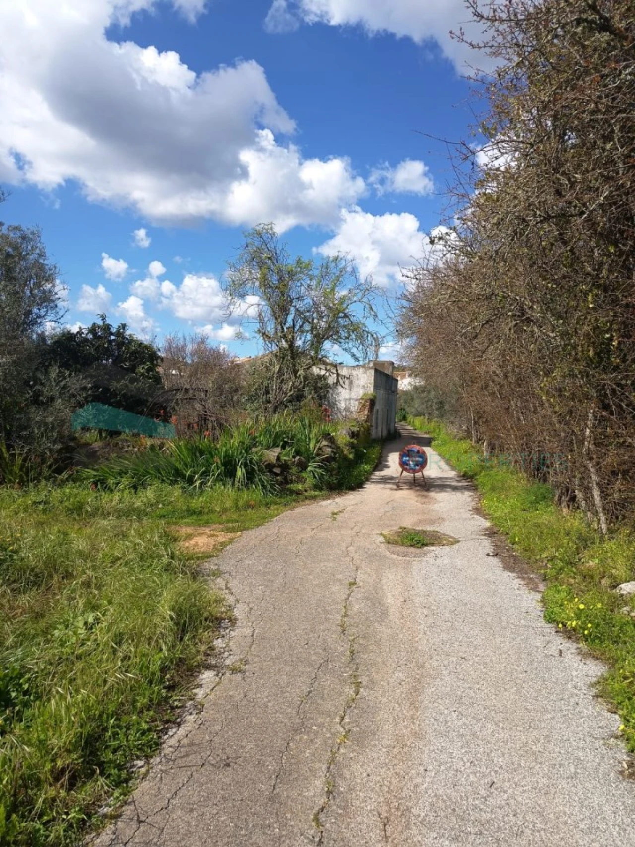 Terreno Agricola ou Rústico para Venda em Alte Foto 7