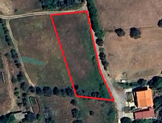 Terreno Agricola ou Rústico para Venda em Alte Foto 3