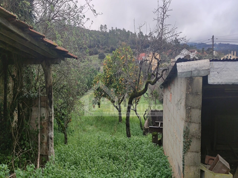 Moradia T5 para Venda em Chãos Foto 18