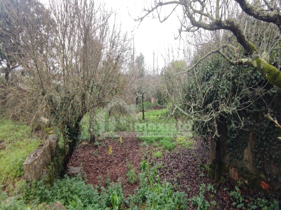 Moradia T5 para Venda em Chãos Foto 21