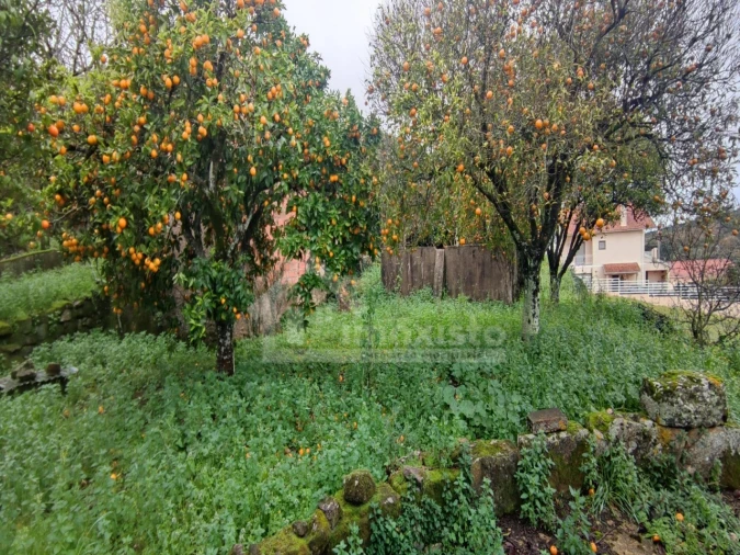 Moradia T5 para Venda em Chãos Foto 22