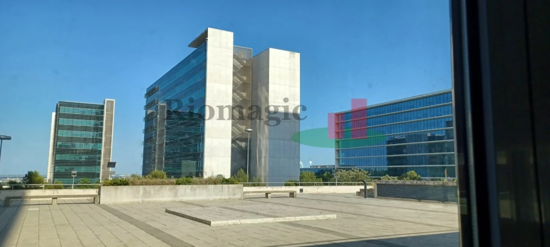 Loja para Arrendamento em Parque das Nações Foto 17