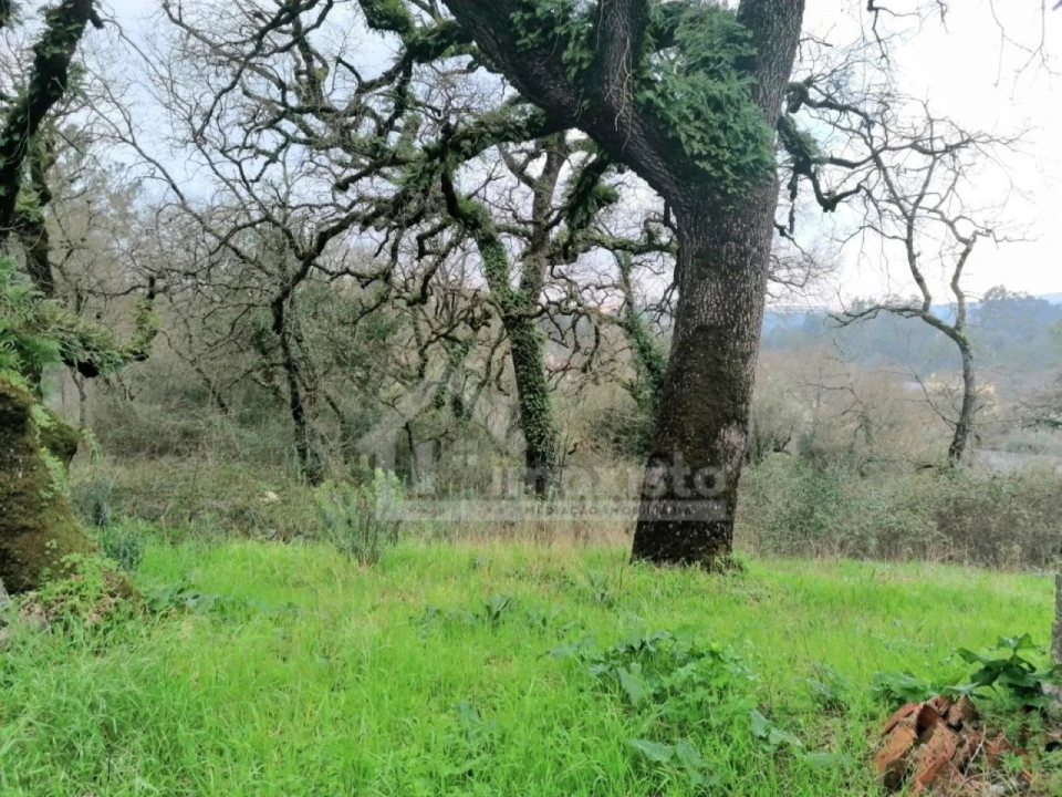 Terreno Agricola ou Rústico para Venda em Santiago da Guarda Foto 1