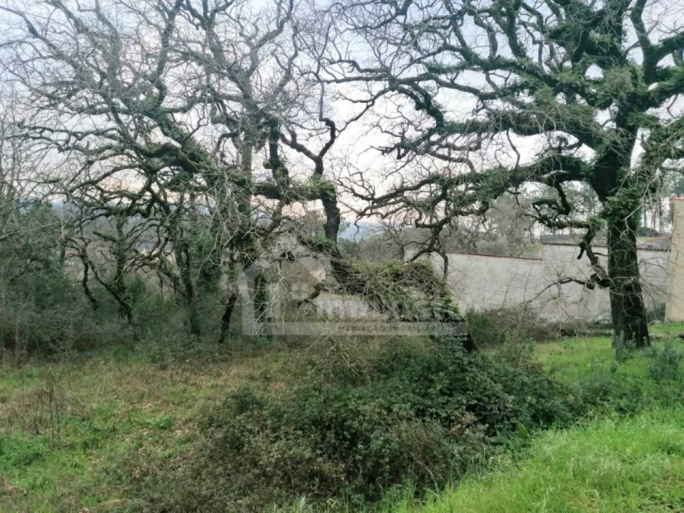 Terreno Agricola ou Rústico para Venda em Santiago da Guarda Foto 2