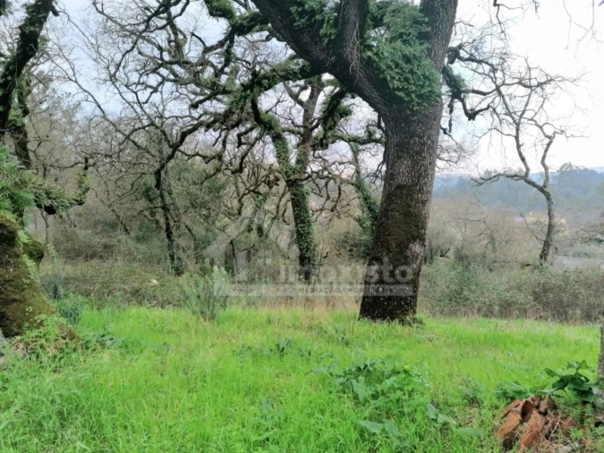 Terreno Agricola ou Rústico para Venda em Santiago da Guarda