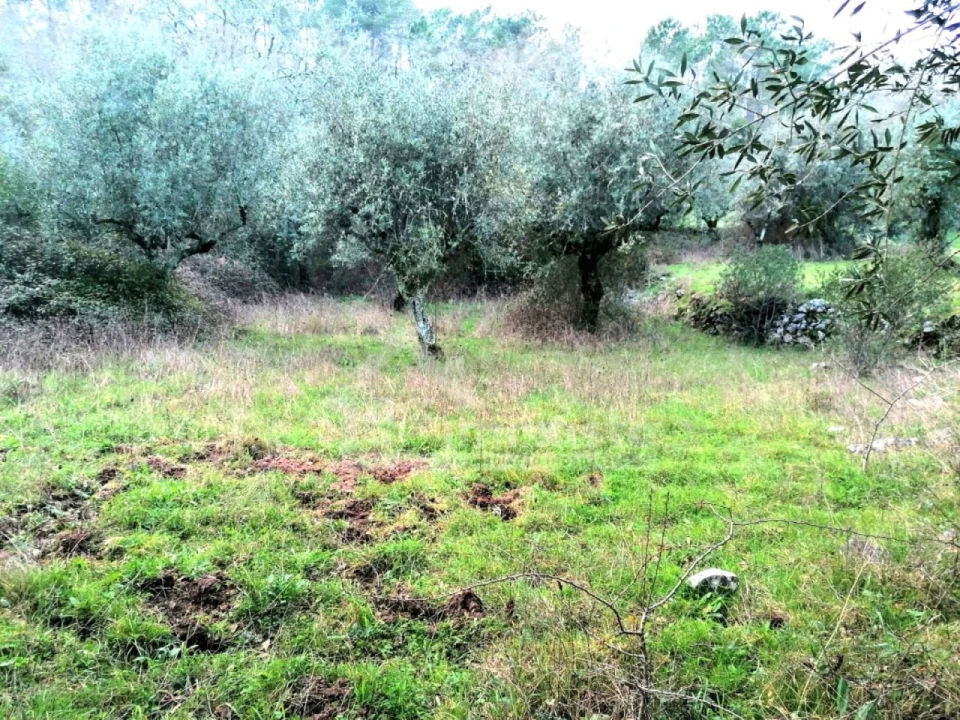Terreno para Venda em Ansião Foto 1