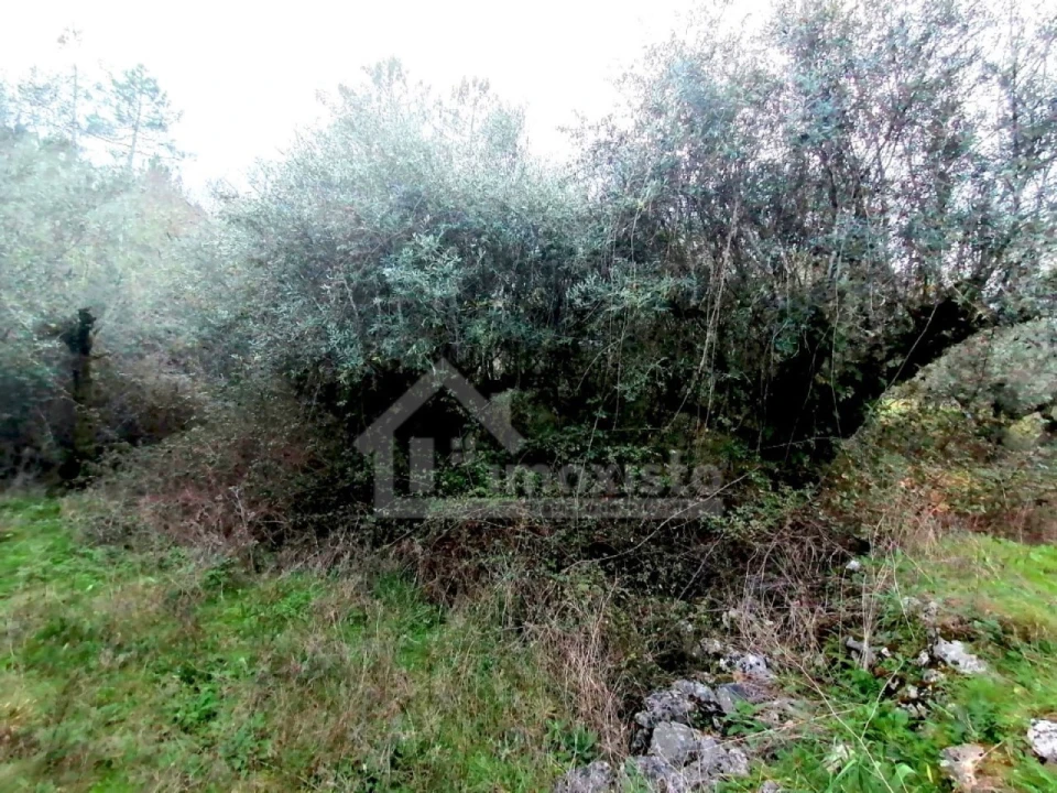 Terreno para Venda em Ansião Foto 2