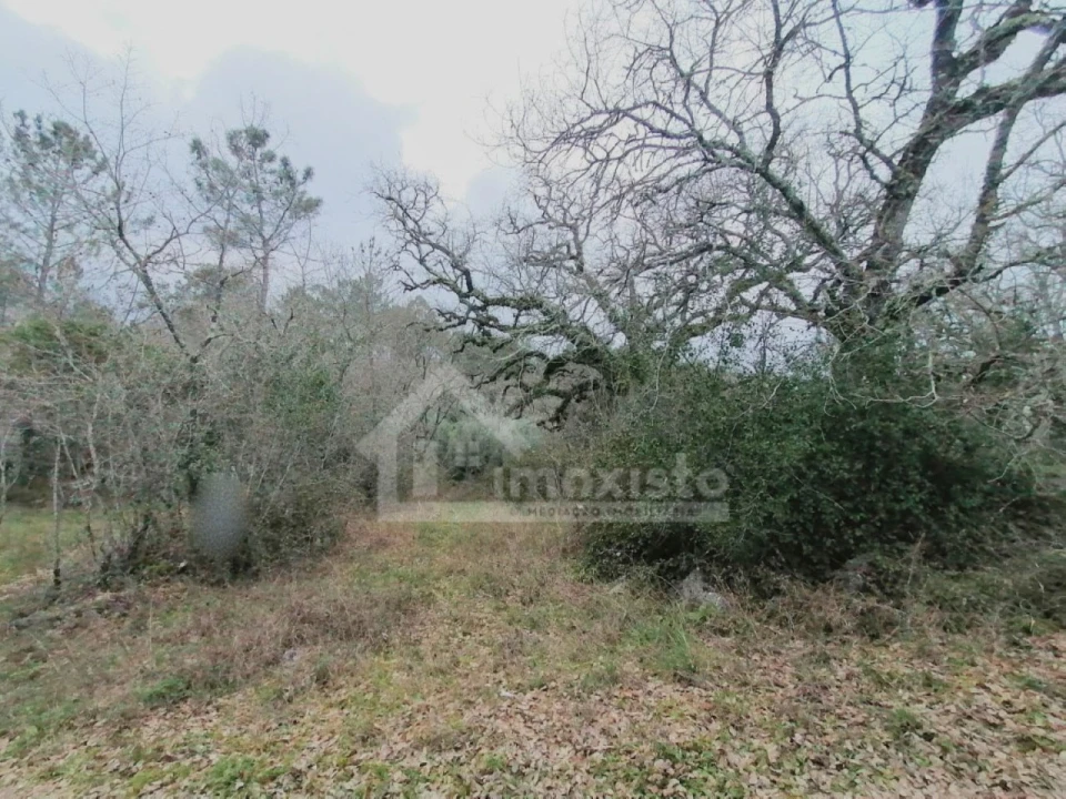 Terreno para Venda em Ansião Foto 4