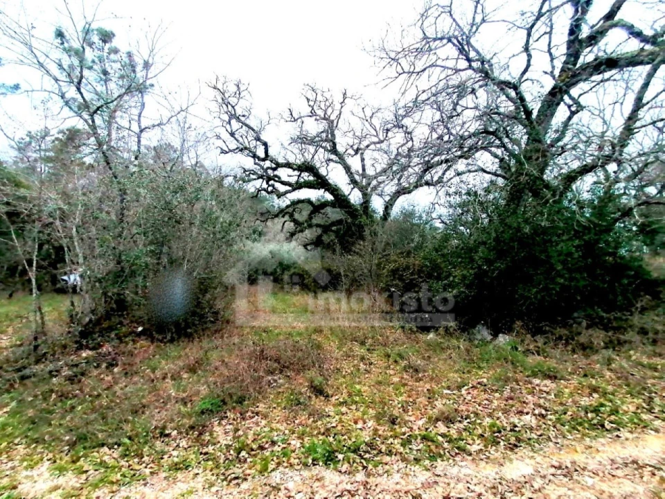 Terreno para Venda em Ansião Foto 5
